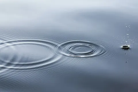 The Way of Water